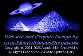 New Millenium Website and Graphic Design