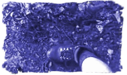 Tennessee Bigfoot
